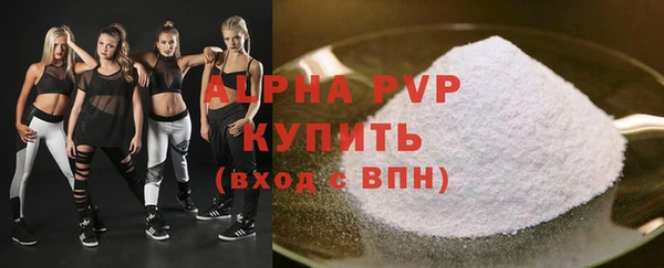 прущие грибы Богородицк