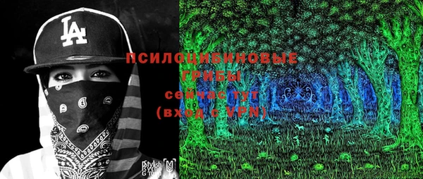 марки lsd Богданович
