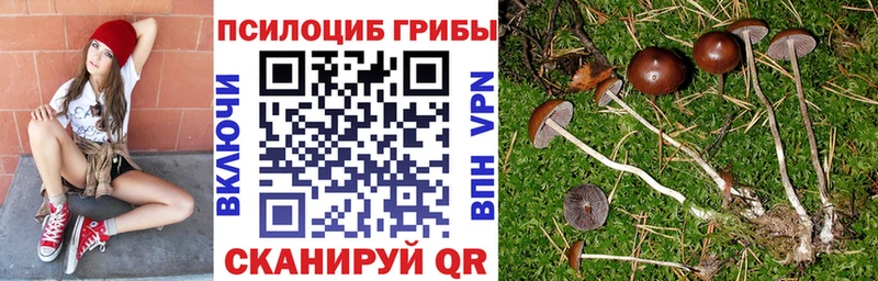 Псилоцибиновые грибы мицелий  дарнет шоп  Долинск 